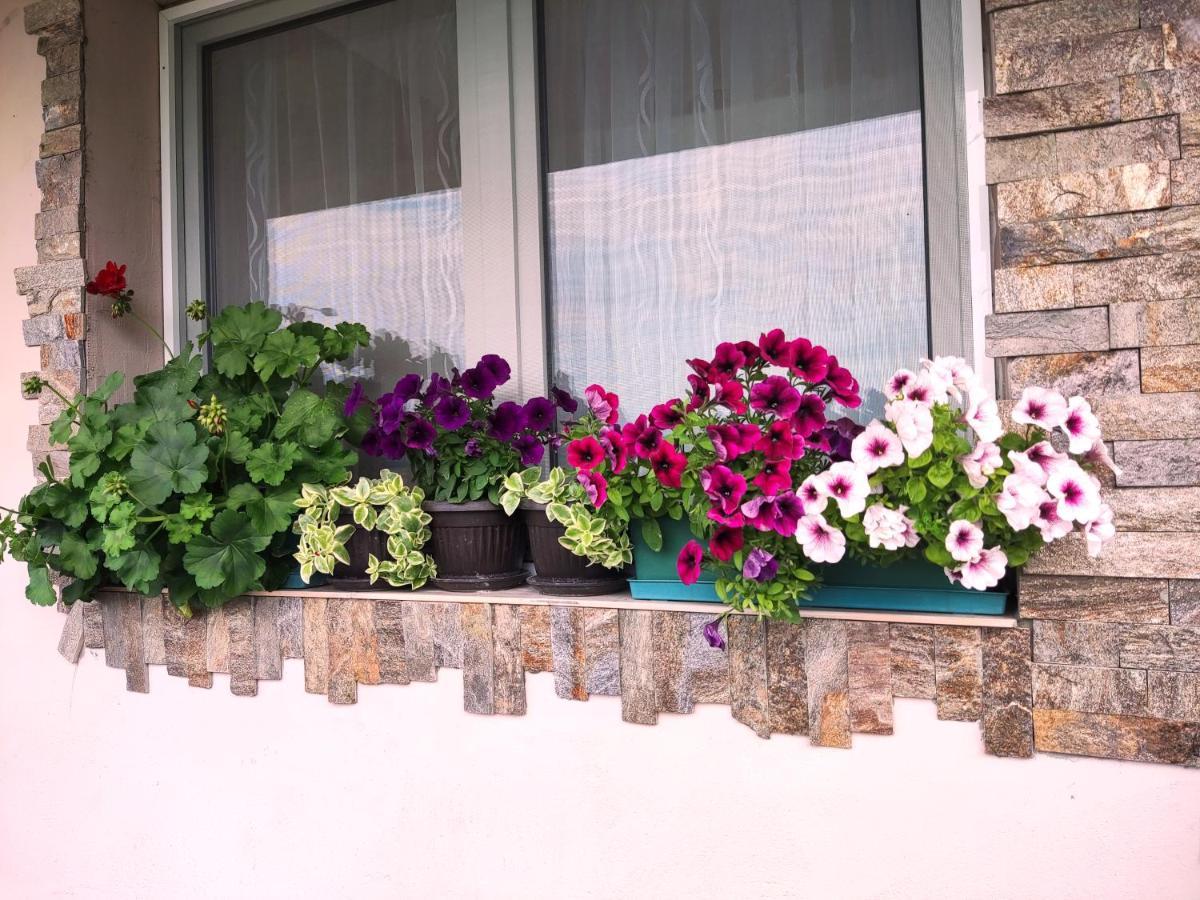 Apartman Juga Kremna Dış mekan fotoğraf